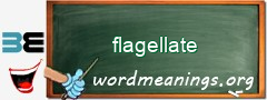 WordMeaning blackboard for flagellate